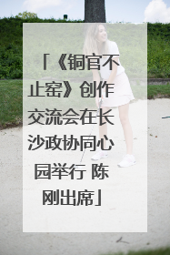 《铜官不止窑》创作交流会在长沙政协同心园举行 陈刚出席